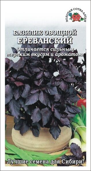 Базилик Ереванский фиолетовый (Сотка)
