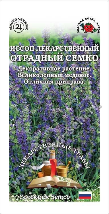 Иссоп Отрадный Семко (Сотка)