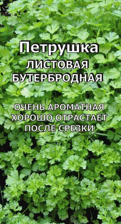 Петрушка Бутербродная листовая (Сотка) б/п