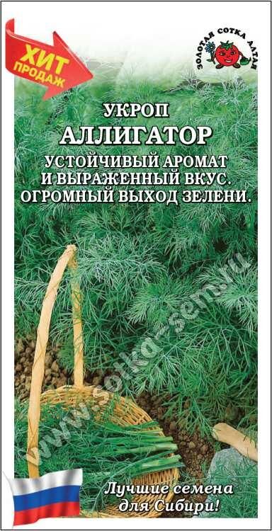 Укроп Аллигатор (Сотка)