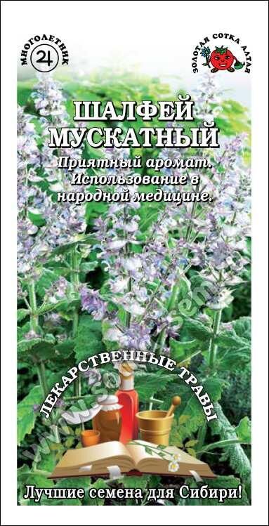 Шалфей Мускатный (Сотка)