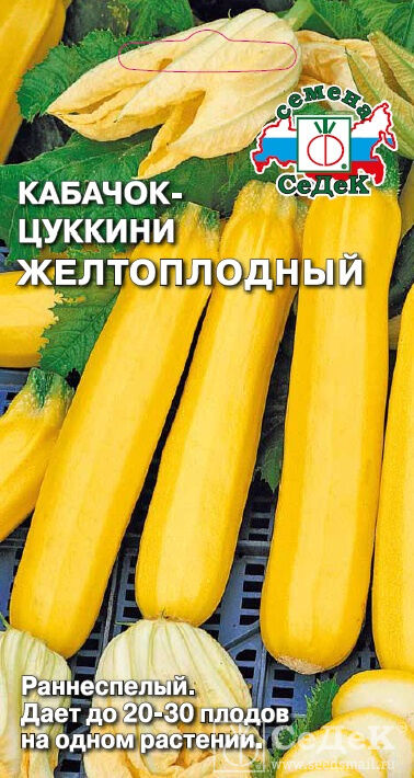 Кабачок Желтоплодный (Сотка)