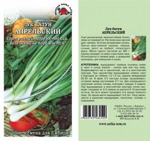 Лук батун Апрельский (Сотка)