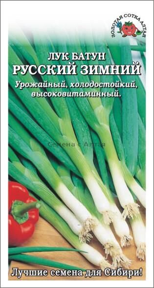 Лук батун Русский зимний (Сотка)
