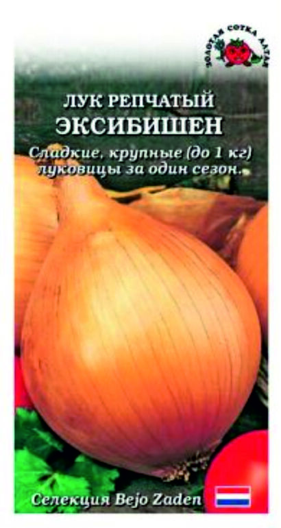 Лук репчптый Эксибишен (Сотка)