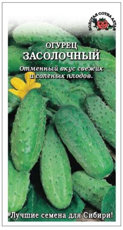 Огурец Засолочный (Сотка)  б/п