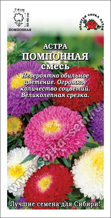 Астра Помпонная смесь (Сотка)