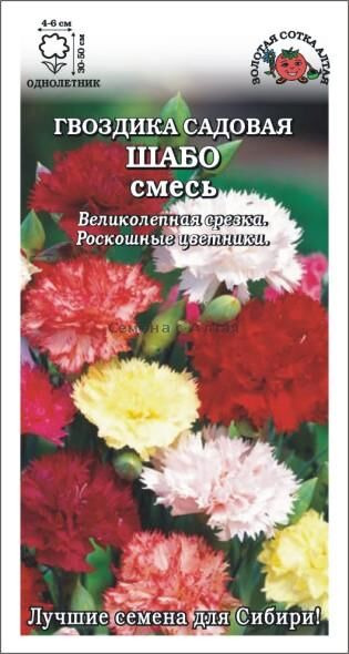 Гвоздика Шабо смесь (Сотка)
