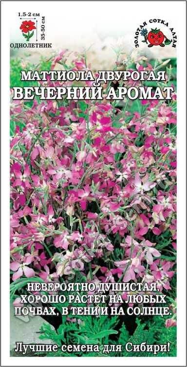 Маттиола Вечерний аромат Двурогая (Сотка)