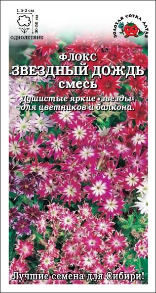 Флокс Звёздный дождь (Сотка)