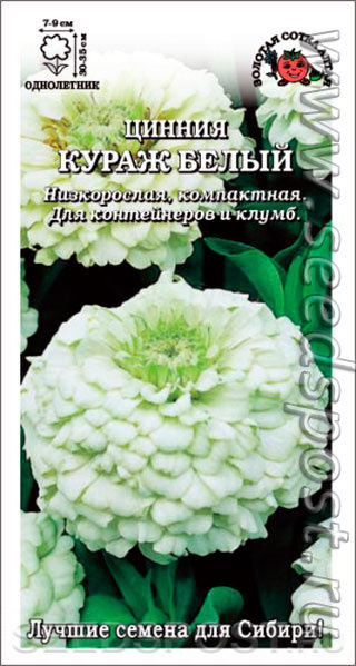 Цинния Кураж белый (Сотка)