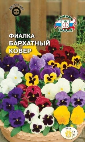 Фиалка Бархатный ковёр швец. гигант смесь (Седек)