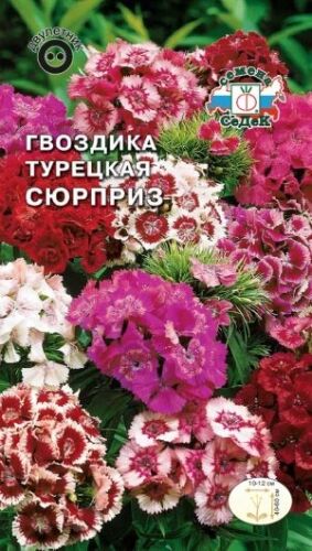 Гвоздика турецкая Сюрприз (махр., смесь) (Седек)