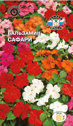 Бальзамин Сафари гибридный смесь (Седек)