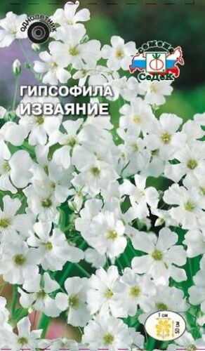 Гипсофилла Изваяние изящная белая (Седек)