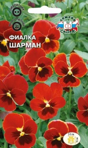 Фиалка Шарман гибридная рогатая (Седек)