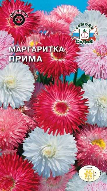 Маргаритка Прима махр.многолетняя смесь (Седек)
