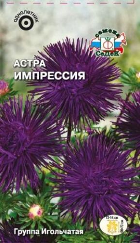 Астра Импрессия (Седек)