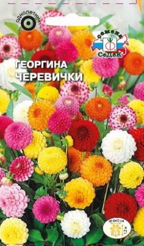 Георгина Черевички помпонная смесь (Седек)