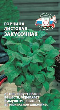 Горчица Закусочная листовая (Седек)