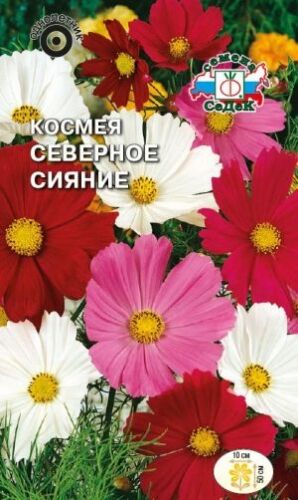 Космея Северное сияние низкорослая смесь (Седек)
