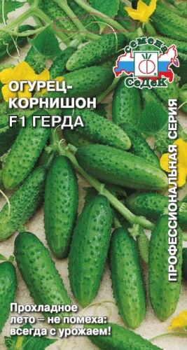 Огурец Герда F1 (Седек)