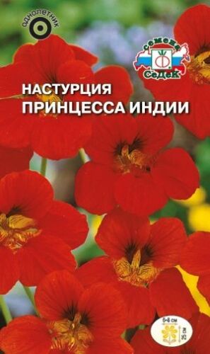 Настурция Принцесса Индии карл (Седек)