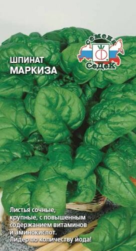 Шпинат Маркиза (Седек)