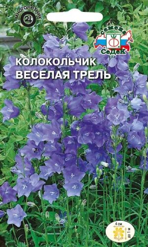 Колокольчик Весёлая трель персиколистный (Седек)