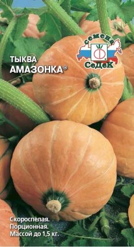Тыква Амазонка (Седек)