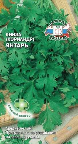 Кориандр (кинза) Янтарь (Седек)