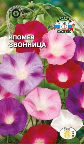 Ипомея Звонница смесь (Седек)