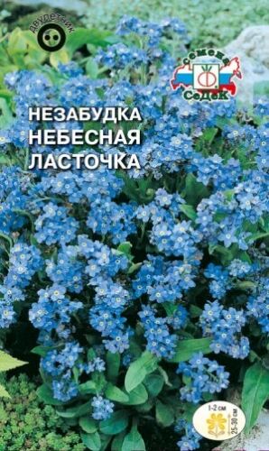 Незабудка Небесная ласточка альпийская (Седек)