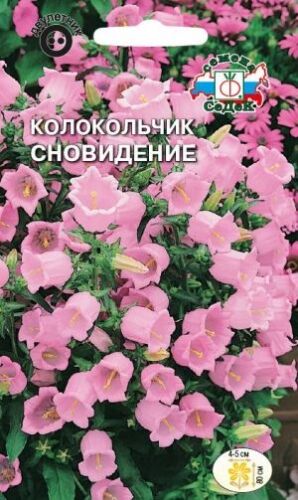 Колокольчик Сновидение средний розовый (Седек)
