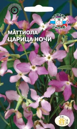 Маттиола Царица ночи двурогая (Седек)