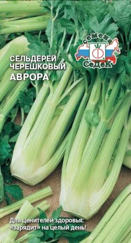 Сельдерей Аврора (черешковый) (Седек)