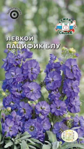 Левкой (маттиола) Пацифик блу (Седек)