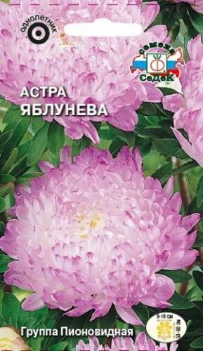 Астра Яблунева пионовидная (Седек)