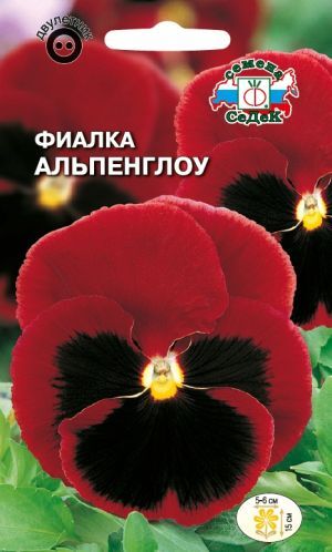 Фиалка Альпенглоу швец. гигант (Седек)