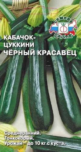 Кабачок Чёрный красавец (Седек)