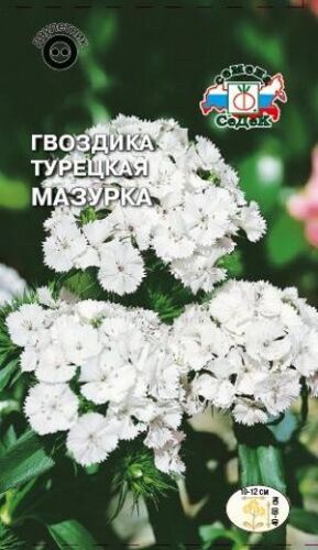 Гвоздика турецкая Мазурка (Седек)