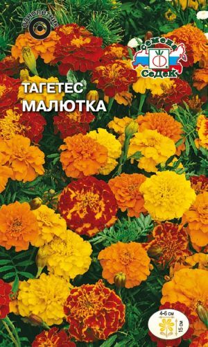 Тагетес Малютка отклонённый смесь (Седек)