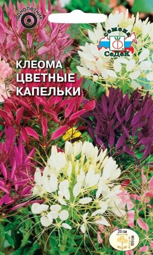 Клеома Цветные капельки  смесь (Седек)