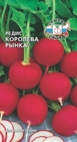 Редис Королева рынка (Седек)