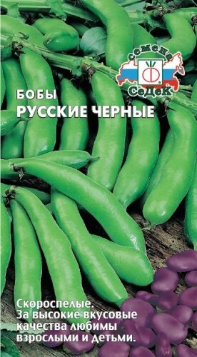 Бобы Русские чёрные (Седек)