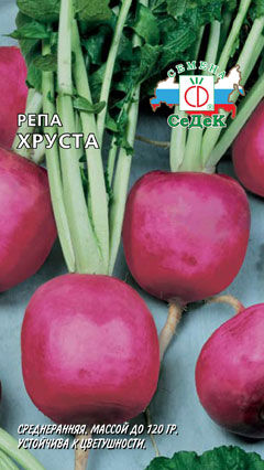 Репа Хруста (Седек)