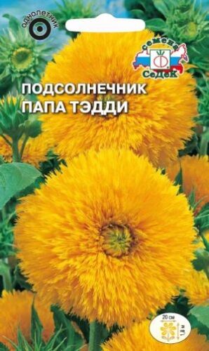 Подсолнечник Папа Тэдди (Седек)