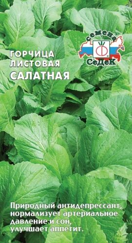 Горчица Салатная листовая (Седек)