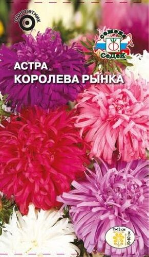 Астра Королева рынка страусовое перо смесь (Седек)