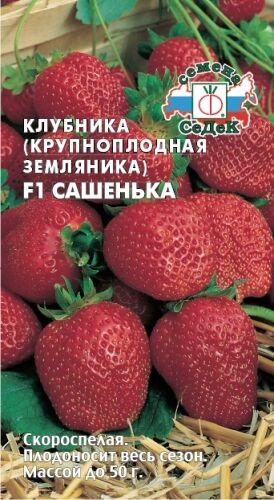 Земляника Сашенька F1 (клубника)(Седек)